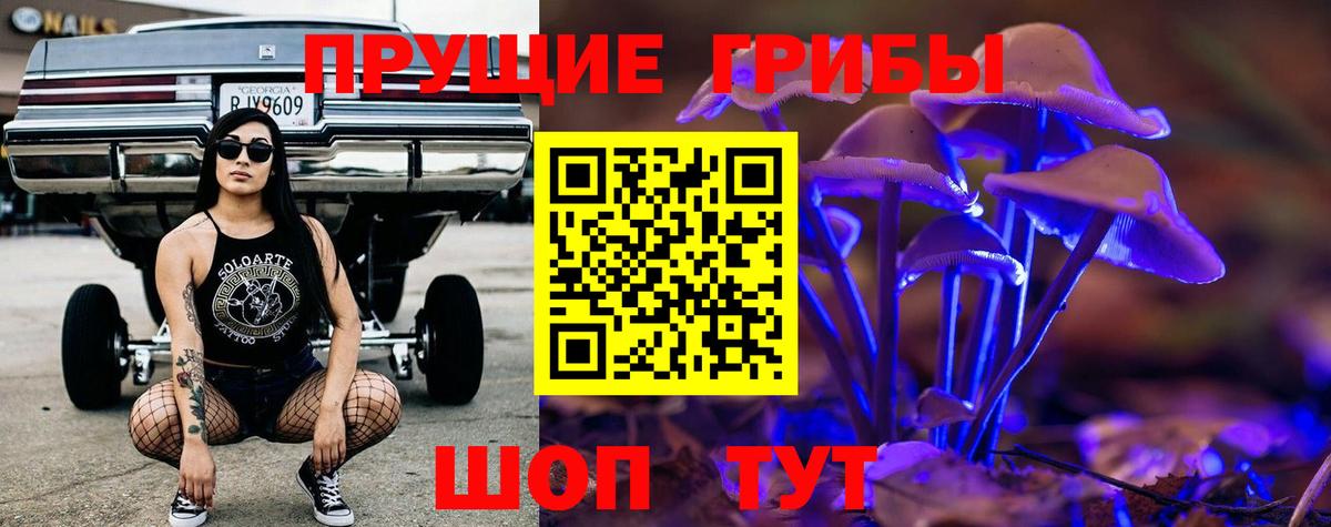 Красноперекопск  Псилоцибиновые грибы Psilocybe  Вход с VPN 